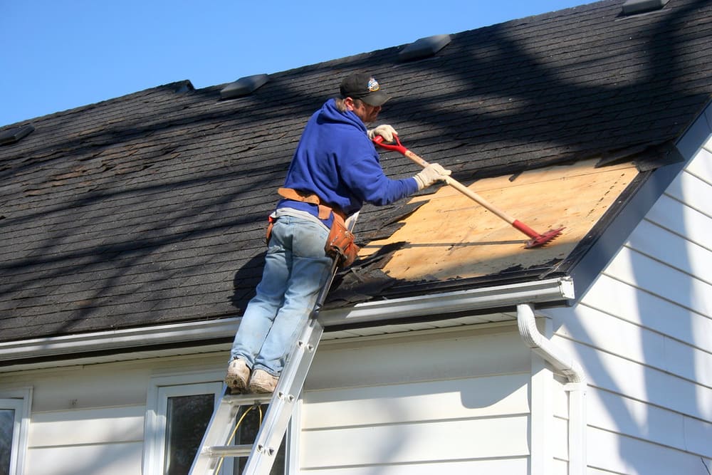 Roofing ladder staged at a house